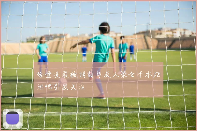 哈登凌晨被捕前与友人聚会于水烟酒吧引发关注